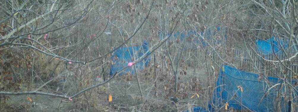 Jan 31 2026  7:13:48, #01