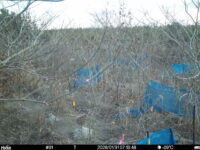 Jan 31 2026  7:13:48, #01