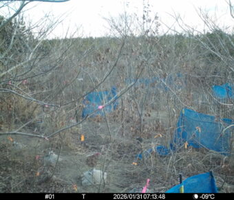 Jan 31 2026  7:13:48, #01