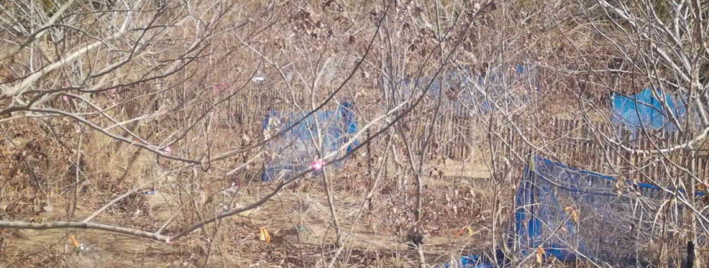 Jan 31 2026 10:13:48, #01