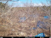 Jan 31 2026 10:13:48, #01