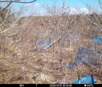 Jan 31 2026 10:13:48, #01