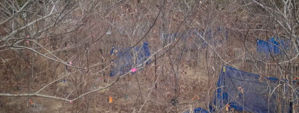 Jan 31 2026 13:13:47, #01