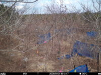 Jan 31 2026 13:13:47, #01