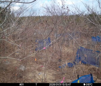 Jan 31 2026 13:13:47, #01