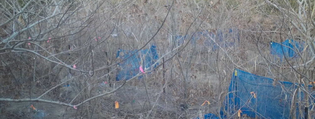 Jan 31 2026 16:13:48, #01