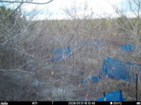 Jan 31 2026 16:13:48, #01