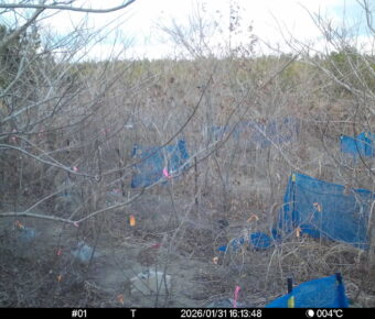 Jan 31 2026 16:13:48, #01