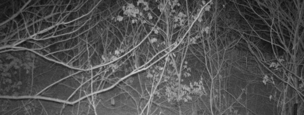 Jan 31 2026 19:13:48, #01