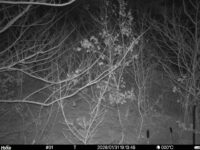 Jan 31 2026 19:13:48, #01