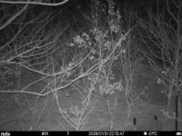 Jan 31 2026 22:13:47, #01