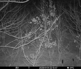 Jan 31 2026 22:13:47, #01