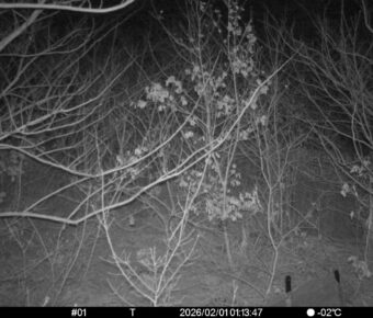 Feb 1 2026  1:13:47, #01