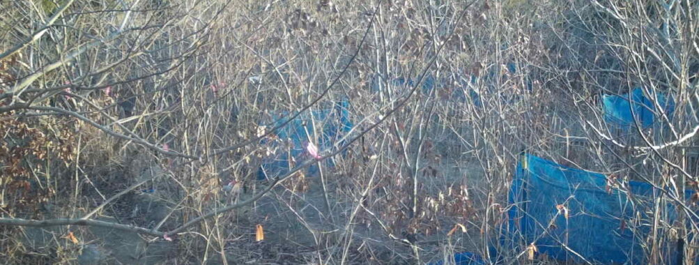 Feb 1 2026  7:13:48, #01