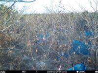 Feb 1 2026  7:13:48, #01