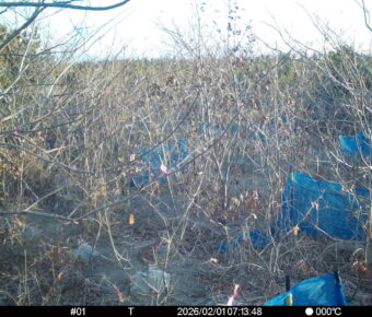 Feb 1 2026  7:13:48, #01