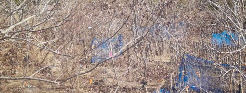 Feb 1 2026 10:13:48, #01