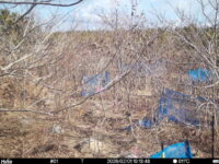 Feb 1 2026 10:13:48, #01