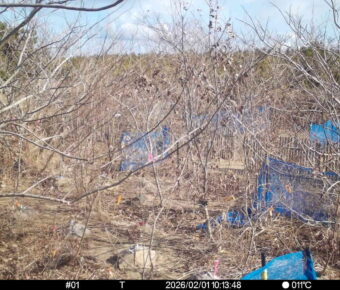 Feb 1 2026 10:13:48, #01