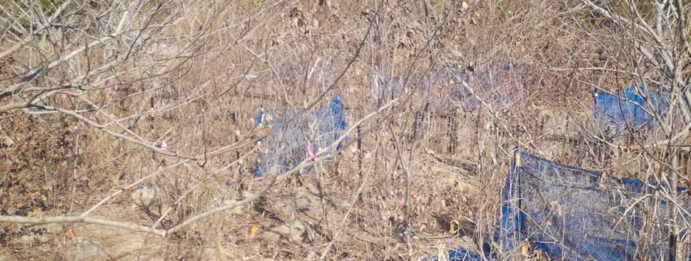 Feb 1 2026 13:13:47, #01