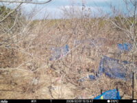 Feb 1 2026 13:13:47, #01