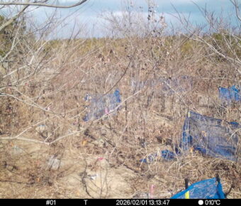 Feb 1 2026 13:13:47, #01