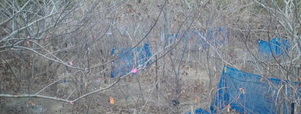 Feb 1 2026 16:13:48, #01