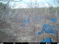 Feb 1 2026 16:13:48, #01