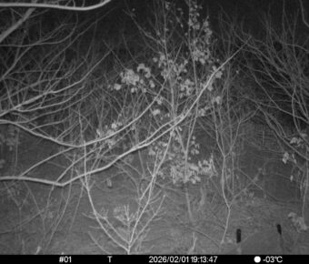 Feb 1 2026 19:13:47, #01