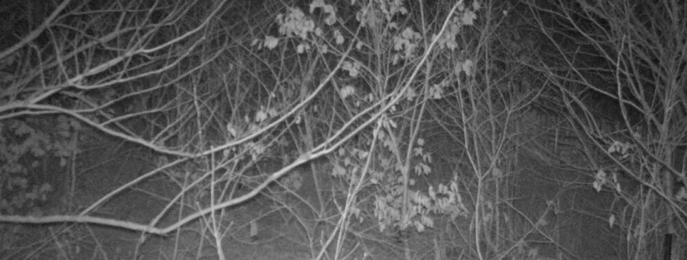 Feb 1 2026 22:13:46, #01