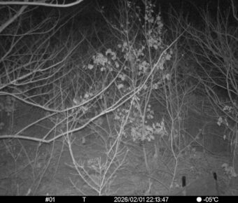 Feb 1 2026 22:13:46, #01