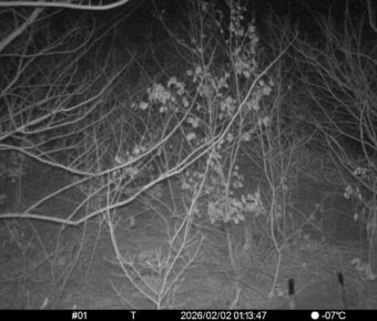 Feb 2 2026  1:13:47, #01