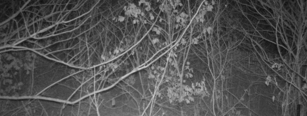 Feb 2 2026  4:13:47, #01