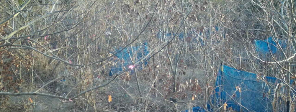 Feb 2 2026  7:13:48, #01