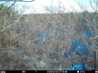 Feb 2 2026  7:13:48, #01