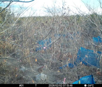 Feb 2 2026  7:13:48, #01