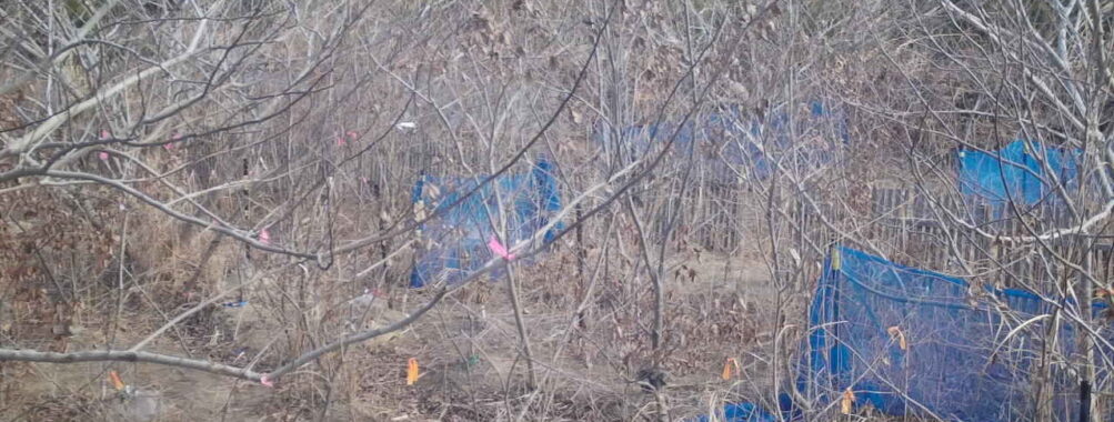 Feb 2 2026 10:13:48, #01