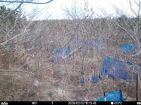 Feb 2 2026 10:13:48, #01