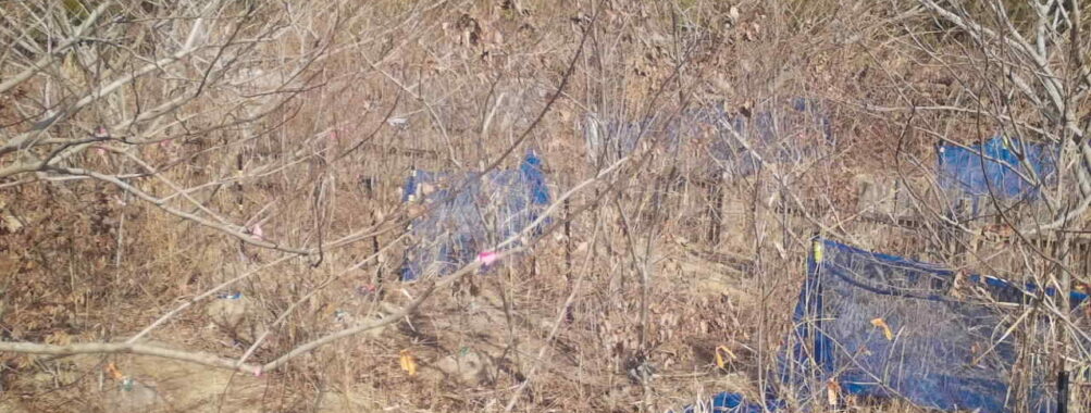 Feb 2 2026 13:13:48, #01