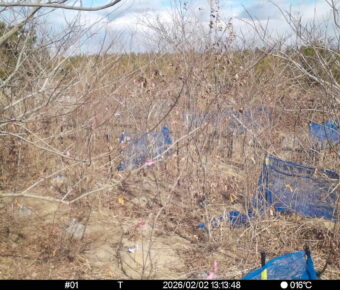 Feb 2 2026 13:13:48, #01