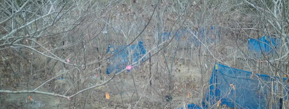 Feb 2 2026 16:13:48, #01