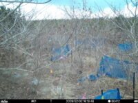 Feb 2 2026 16:13:48, #01