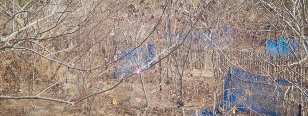 Feb 3 2026 10:13:48, #01