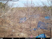 Feb 3 2026 10:13:48, #01