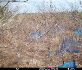 Feb 3 2026 10:13:48, #01