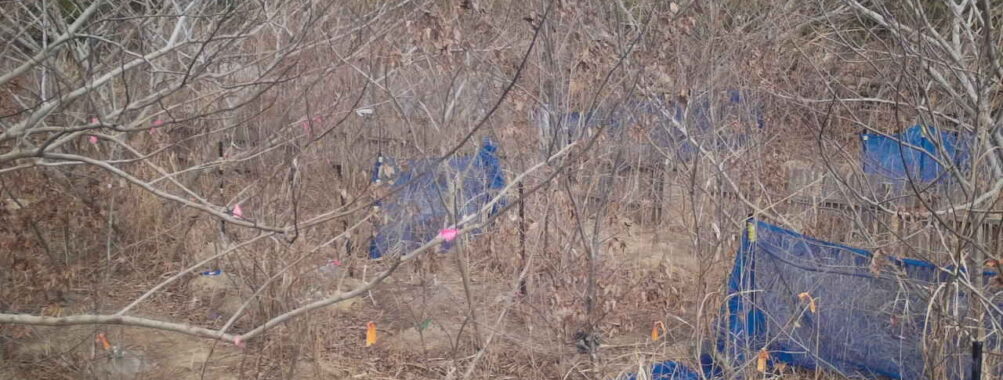 Feb 3 2026 13:13:47, #01