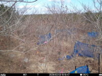 Feb 3 2026 13:13:47, #01