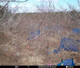 Feb 3 2026 13:13:47, #01