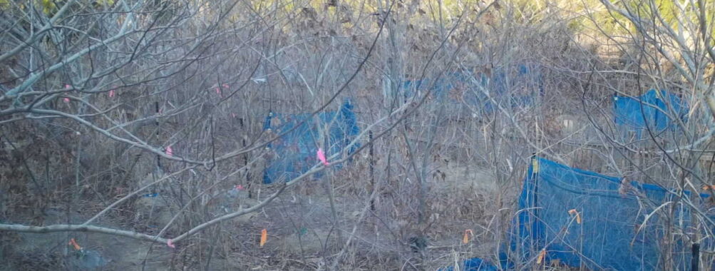 Feb 3 2026 16:13:48, #01