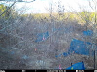 Feb 3 2026 16:13:48, #01